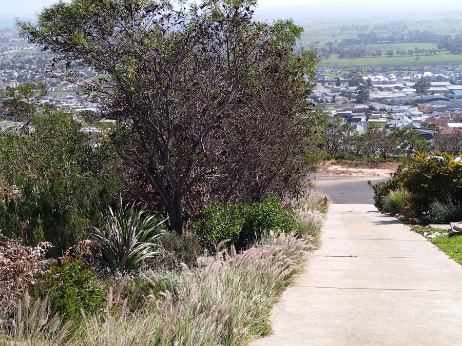 0 Bedroom Property for Sale in Mansfield Western Cape